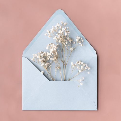 Visuel-newsletter Visuel-newsletter